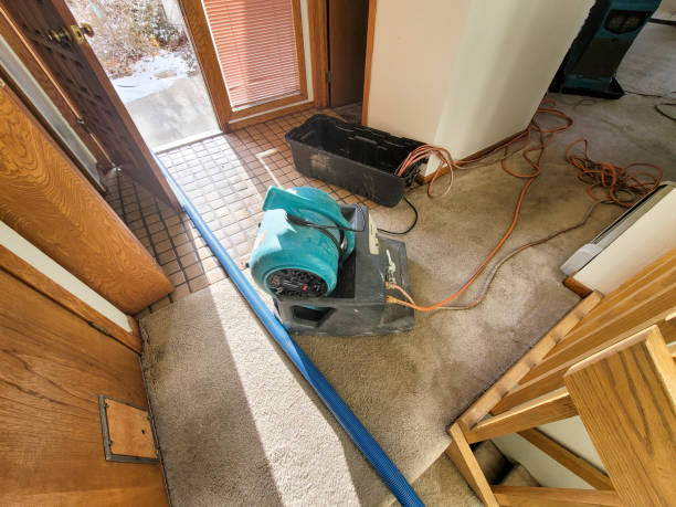 Best Water damage contractors near me  in Rincon, GA