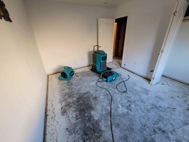 Best Emergency water damage restoration  in Rincon, GA