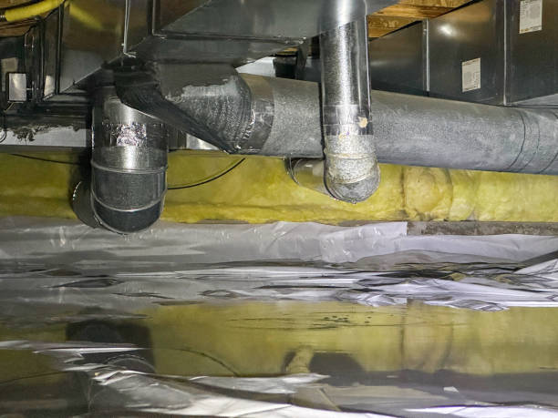 Best Flood damage cleanup  in Rincon, GA