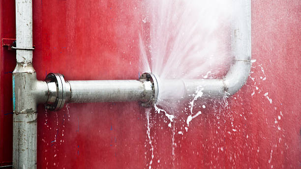 Best Water damage restoration near me  in Rincon, GA